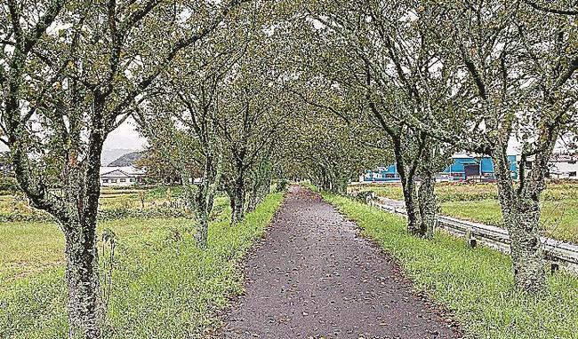 西倉吉駅ー上小鴨のサイクリングロード
