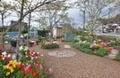 島田さんが整備した花木園。園児や女性グループ、島田さんの憩いの場となっている＝安来市荒島町、１４日午後