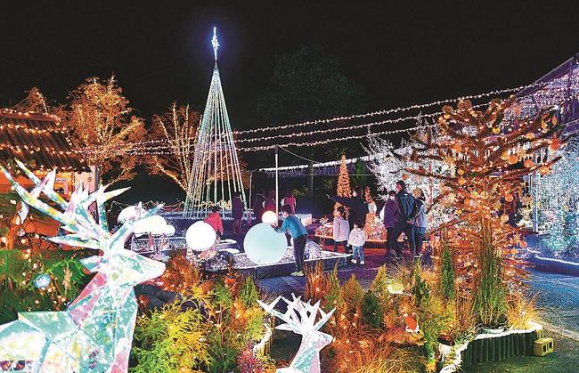 イルミネーションを楽しむ来場者＝鳥取県南部町鶴田、とっとり花回廊