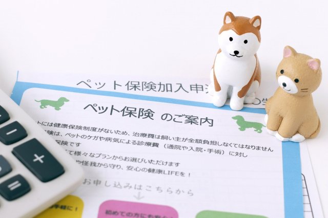 「ペット保険」利用実態データを発表(オリコン顧客満足度(R)調査)(画像はイメージ)