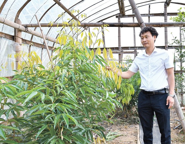 生育具合を確認する岡本進太郎さん＝江津市二宮町
