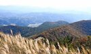 紅葉とススキのコラボレーションも楽しめる＝大田市三瓶町、女三瓶山の山頂から撮影