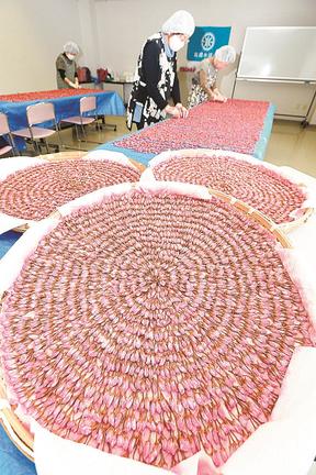 塩漬けされた桜の花を陰干しする「木の花工房」のメンバー＝雲南市木次町里方