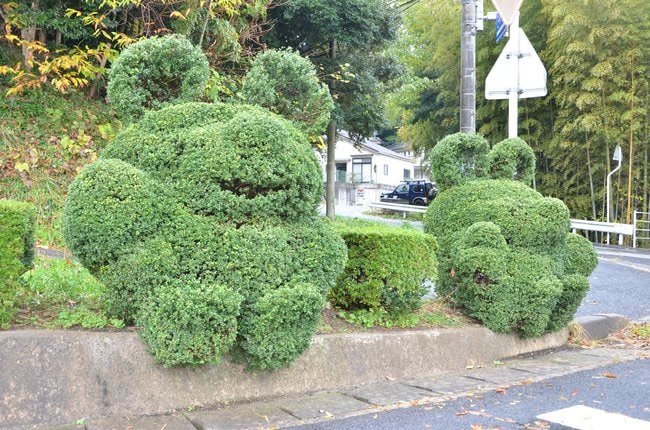 松江市立第二中学校前にある動物の形をした植栽