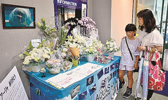 アーリャの功績に思いをはせる来館者＝浜田市・江津市、しまね海洋館アクアス