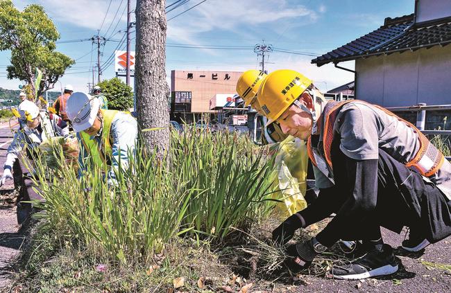 国道１９１号の歩道で除草作業をする島根県舗装協会加盟社のメンバーら＝益田市乙吉町