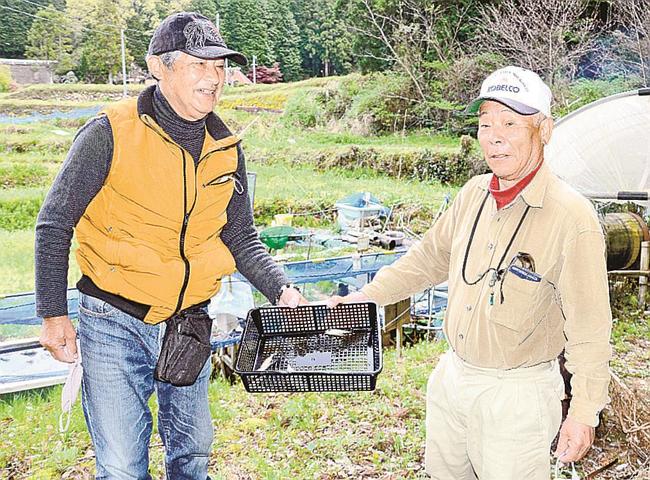 養殖場でホンモロコを笊に上げるＩＮＯ神明クラブの丸山千尋会長（右）と飛野弘二さん＝浜田市三隅町井野