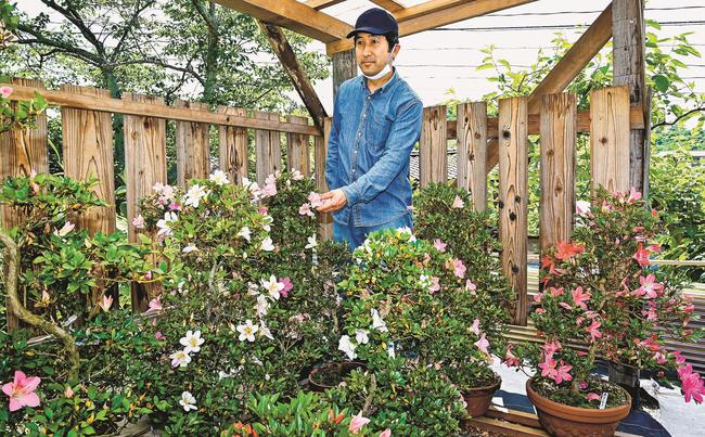 自宅の庭で育てるサツキの魅力を説明する福原進さん＝益田市下本郷町