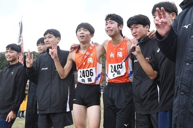向陽の選手（資料）