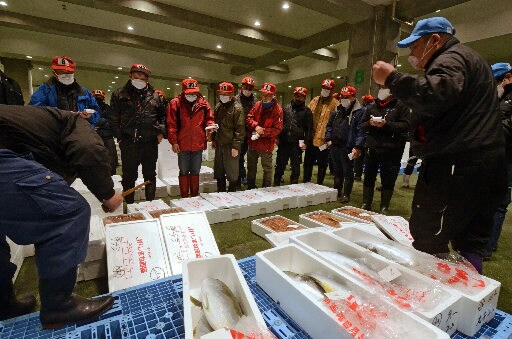 水揚げされた鮮魚を競り落とす仲買人たち(奥)=境港市昭和町、鳥取県営境港水産物地方卸売市場