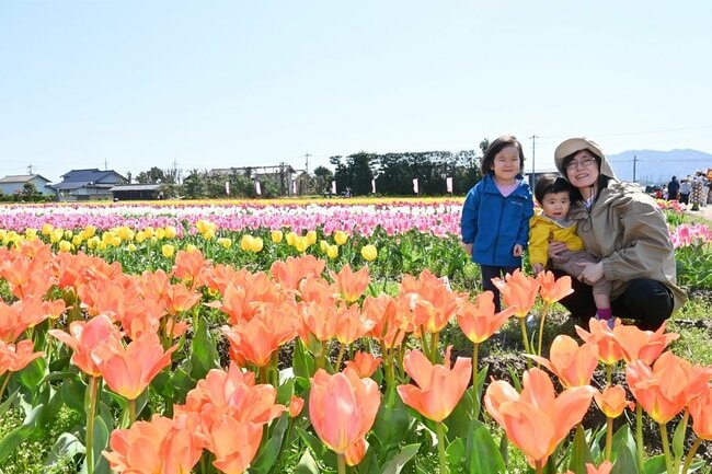チューリップを眺めて笑顔を見せる家族連れ=出雲市斐川町今在家