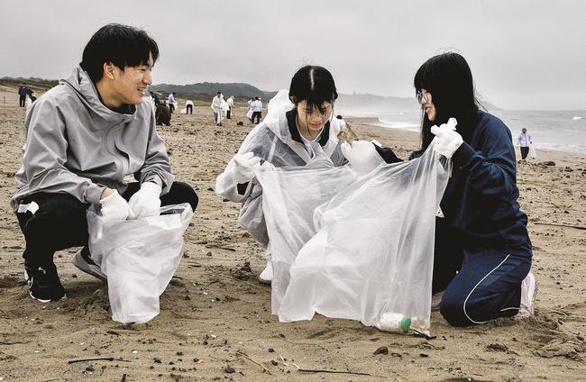 砂浜の清掃活動に取り組む参加者＝江津市波子町、波子海岸