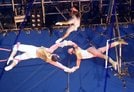 サーカスの華といえば空中ブランコ。息をのむ離れ業の連続だ！