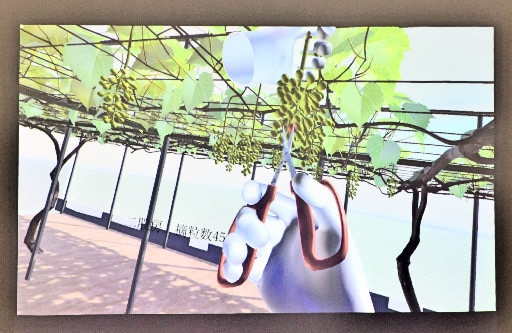 専用のゴーグルとモニターに映し出される仮想ブドウ園