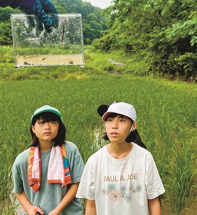 田んぼで捕獲した昆虫を観察する児童＝浜田市弥栄町長安本郷