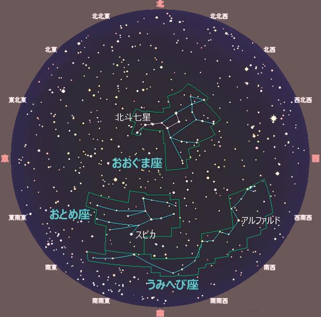 大きな星座表