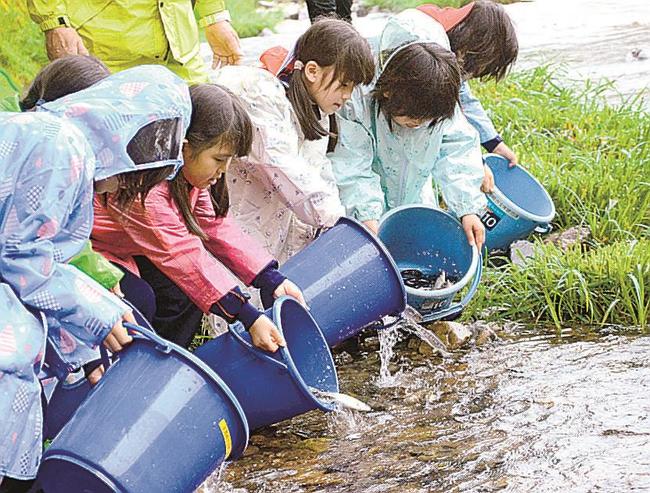 益田川にアユの稚魚を放流する都茂小の1、2年生=益田市美都町山本