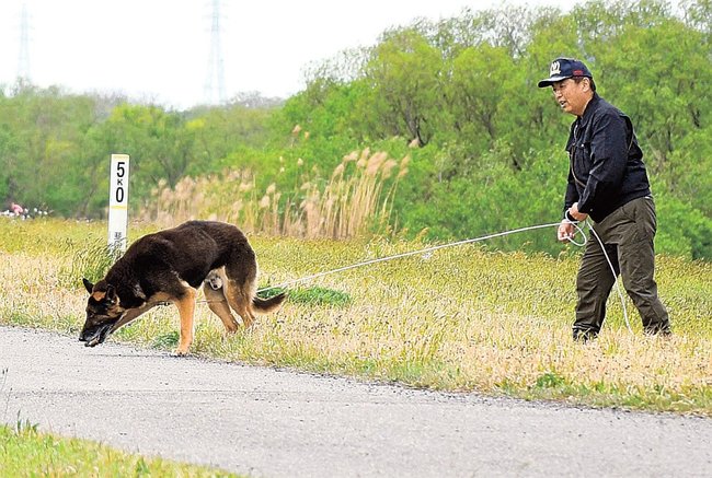 嗅覚を頼りに足取りを追う犬と指導手＝出雲市斐川町坂田