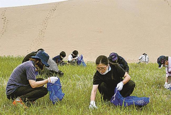 ７月の活動で鳥取砂丘に広がった雑草を除草するボランティアら＝鳥取市内