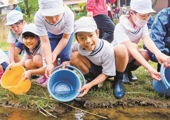 神戸川にアユの稚魚を放流する児童＝出雲市佐田町一窪田