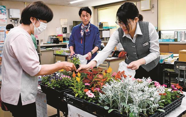 花の苗を選ぶ住民（左）＝島根県邑南町矢上、邑南町商工会