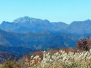 下蒜山山頂から望む大山東壁