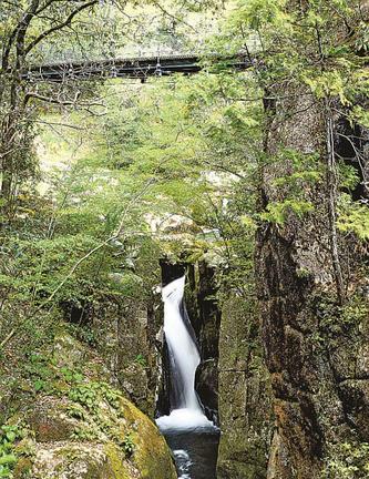 峡谷を流れる滝。滝の上には吊り橋が架かる＝島根県美郷町の比之宮地区