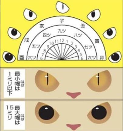 猫目時計（図１）