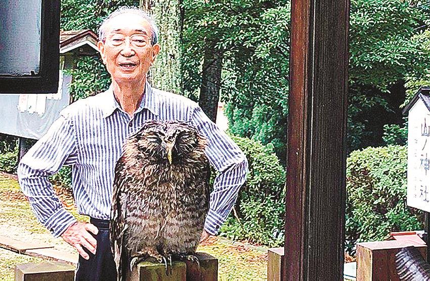 雨にぬれ 一休み？ | 山陰中央新報デジタル