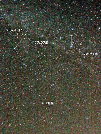 カシオペヤ座とケフェウス座（資料）