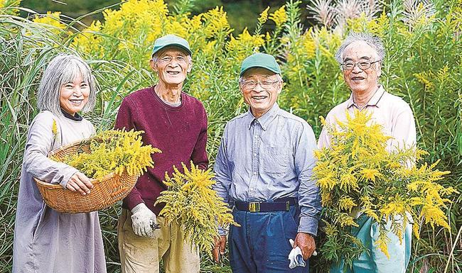 耕作放棄地でセイタカアワダチソウを刈り取る梶谷美由紀代表（左）や大田市林友会のメンバー＝大田市大田町