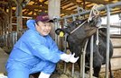 顕微鏡をのぞき血液中の細菌を検査する獣医師の荒川泰卓さん＝益田市昭和町の島根県益田家畜保健衛生所