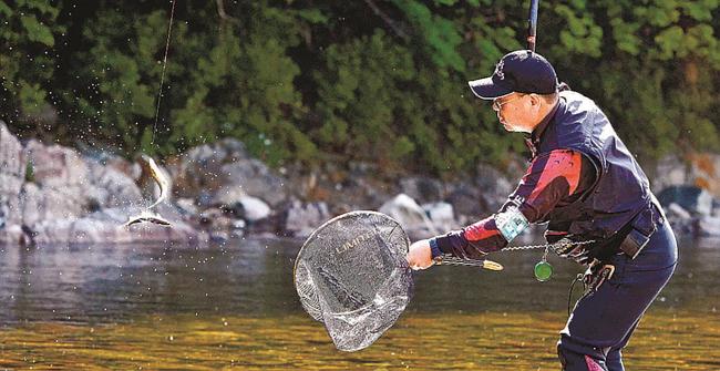 アユを釣り上げた太公望＝益田市匹見町匹見、高津川水系匹見川