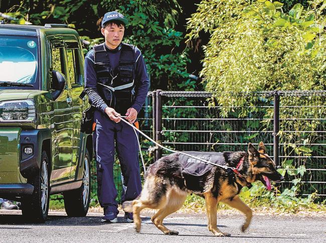 においをたどって捜索する西川翔さんとクリステル号＝島根県川本町川本、川本署