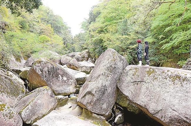 川開きがあり、新緑の渓谷美を楽しめるようになった鬼の舌震=島根県奥出雲町三成