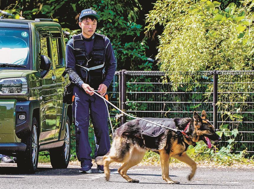 桜の御門　　P.D. 警察犬 プレート 桜の御門 P.D. 警察犬 プレート 桜の御門 P.D. 警察犬 プレート