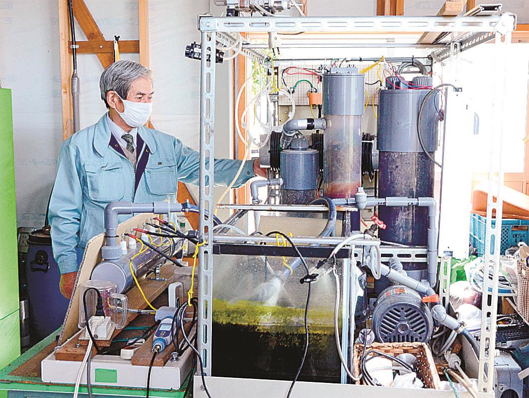 排水浄化技術応用　シジミの養殖実験　２年後の実用化目指す　出雲・制電工業