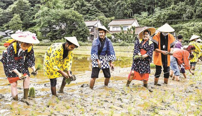 花田植えを楽しむ「はなまる日本語学校島根校」の学生＝江津市川平町