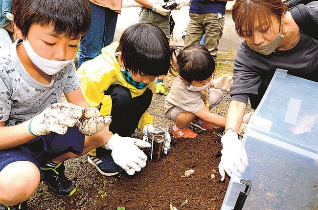 カブトムシの幼虫を探す参加者＝浜田市金城町下来原、雲城まちづくりセンター