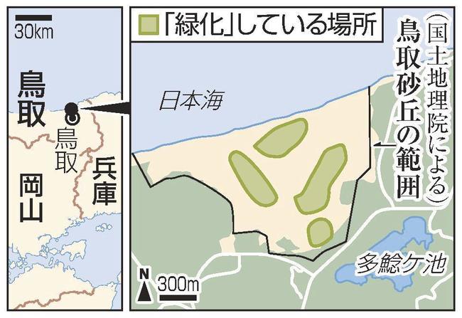 鳥取砂丘の「緑化」している場所