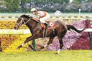 阪神大賞典で優勝したディープボンド＝阪神競馬場