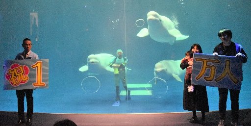シロイルカの3つのバブルリングで「祝1000万人」のメッセージを披露する三戸渚奈未ちゃん(右から3人目)ら=浜田市・江津市、しまね海洋館アクアス