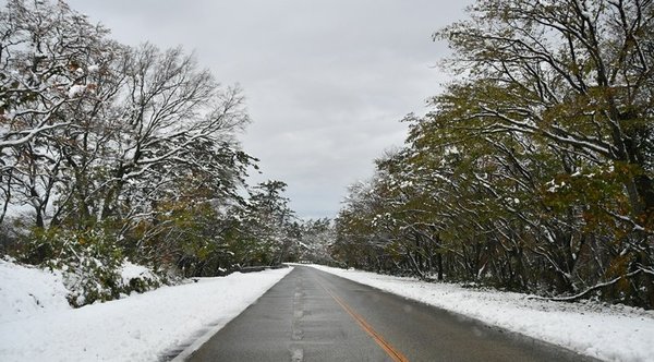 除雪された鳥取県道２４号米子－大山線＝鳥取県大山町大山