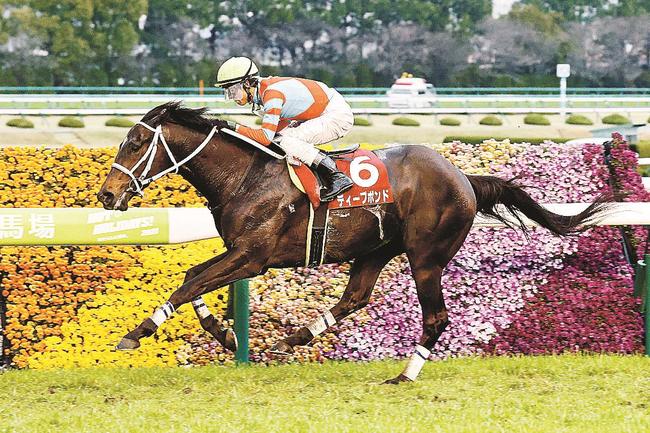 阪神大賞典で優勝したディープボンド＝阪神競馬場