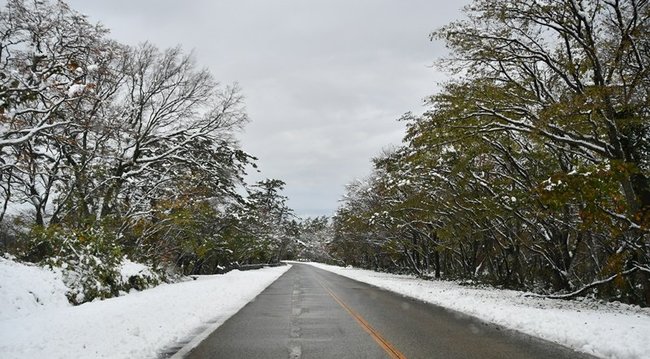除雪された鳥取県道24号米子-大山線=鳥取県大山町大山
