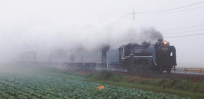 濃霧の中を疾走するＤ５１型蒸気機関車＝山口市