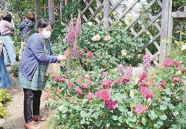 福島博さん宅のバラや春の花を観賞する来場者＝出雲市斐川町神庭