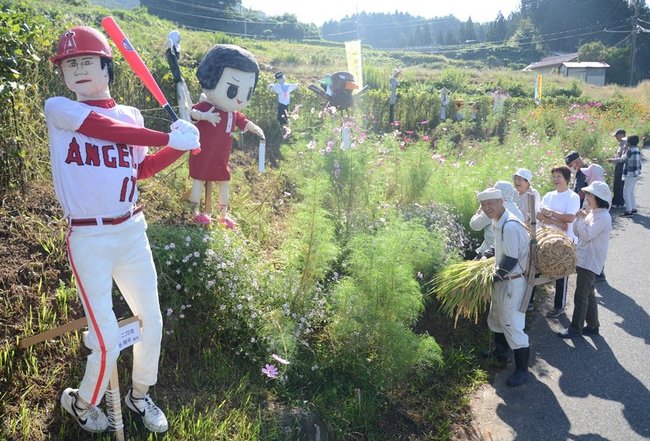 棚田に登場した大リーグの大谷翔平選手らを模したユニークなかかし＝浜田市三隅町室谷