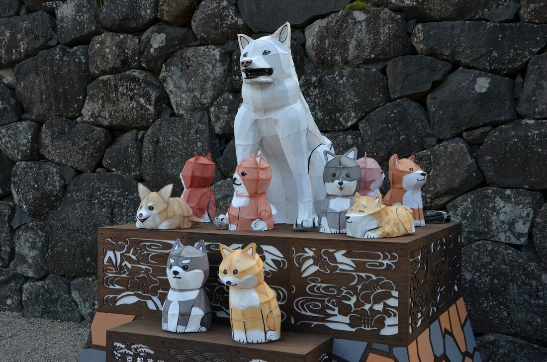 座っているだけで人だかりが 松江城周辺で人気の アイドル犬 その人気ぶりに密着 ｓデジオリジナル記事 山陰中央新報デジタル