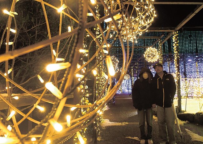 鮮やかなイルミネーションを楽しむ来園者=松江市八束町波入、由志園